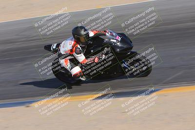 media/Dec-10-2023-SoCal Trackdays (Sun) [[0ce70f5433]]/Turn 10 Inside (140pm)/